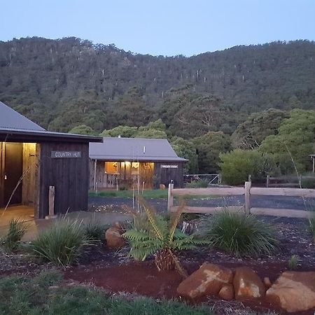 Rustic Hut Bush Retreat Bed & Breakfast Penguin Exterior photo